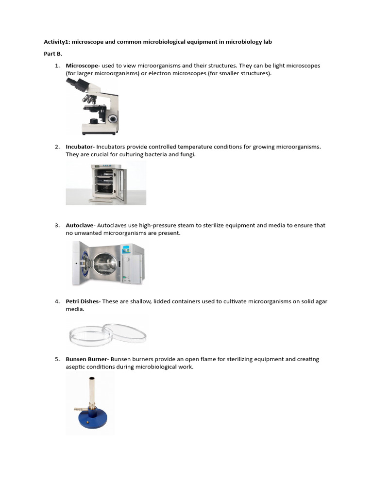 Activity 1 | PDF