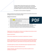 Existen diferencias en el sistema cognitivo y física del recién nacido y el de un niño grande