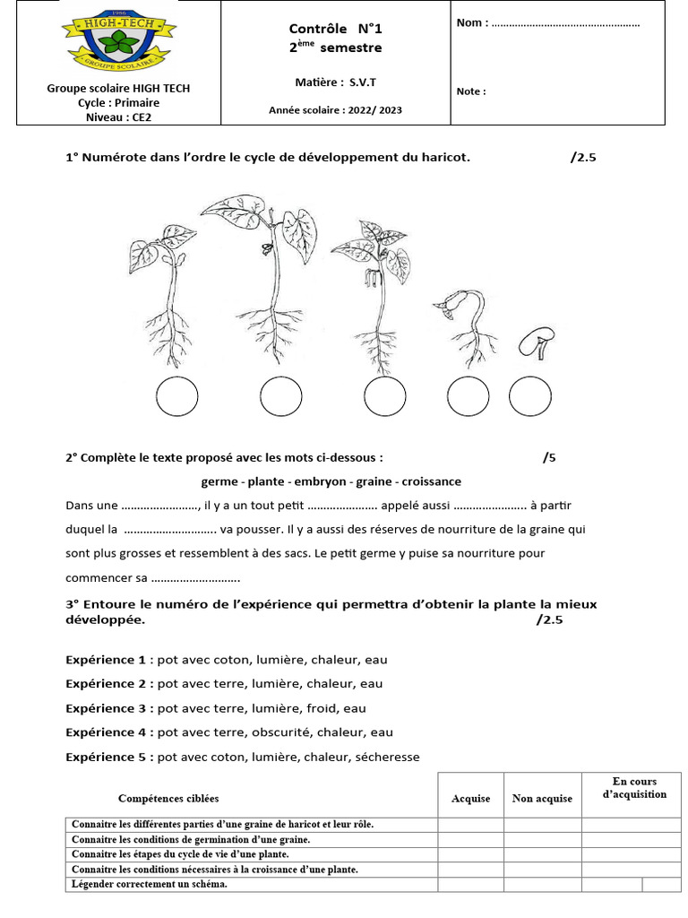 Le Développement Des Végétaux Cm1 CC1.SVT | PDF
