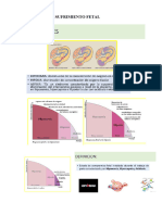 Sufrimiento Fetal