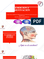 Clase Estructuras Cerebrales en El Cerebro Motivado y Emocional