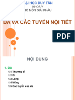 Da Và Các Tuyến Nội Tiết