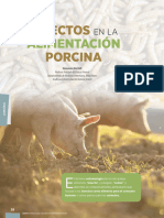 Insectos en alimentación porcina_marzo 2022