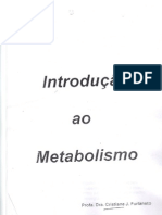 Aula_01_-_Introdução_ao_Metabolismo
