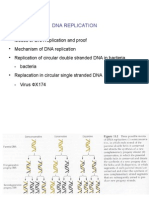 E03 DNAReplication