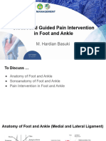 Ultrasound Guided Pain Intervention in Foot and Ankle