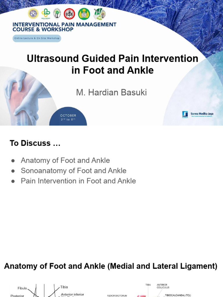 Ultrasound Guided Pain Intervention in Foot and Ankle | PDF | Ankle | Foot