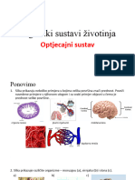 B.3.Optjecajni Sustav