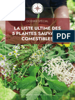 Apprendre Preparer Survivre PSC 2023 Liste Ultime Des 5 Plantes Sauvages Comestibles