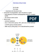 E06 ProteinStructure