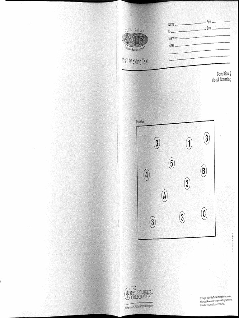  5 trail making test pdf