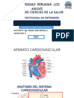 Anatomia Del Corazon y Sistema CirculatorioVIII