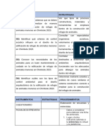 Cuadro de Instrumentos, Estrategias, Procedimientos de Aplicacion