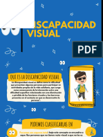 Discapacidad Visual