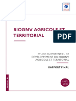 Biognv Agricole Territorial Methanisation-Rapport