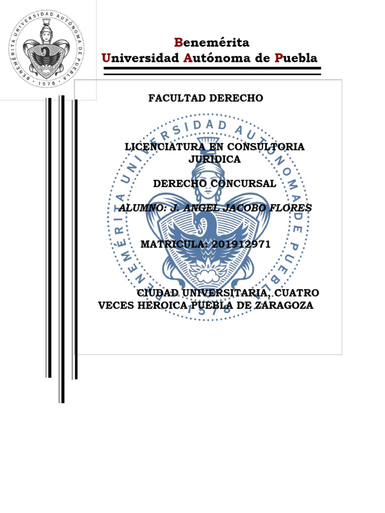 Efectos de La Sentencia de Concurso Mercantil | PDF