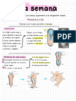 2 Parcial