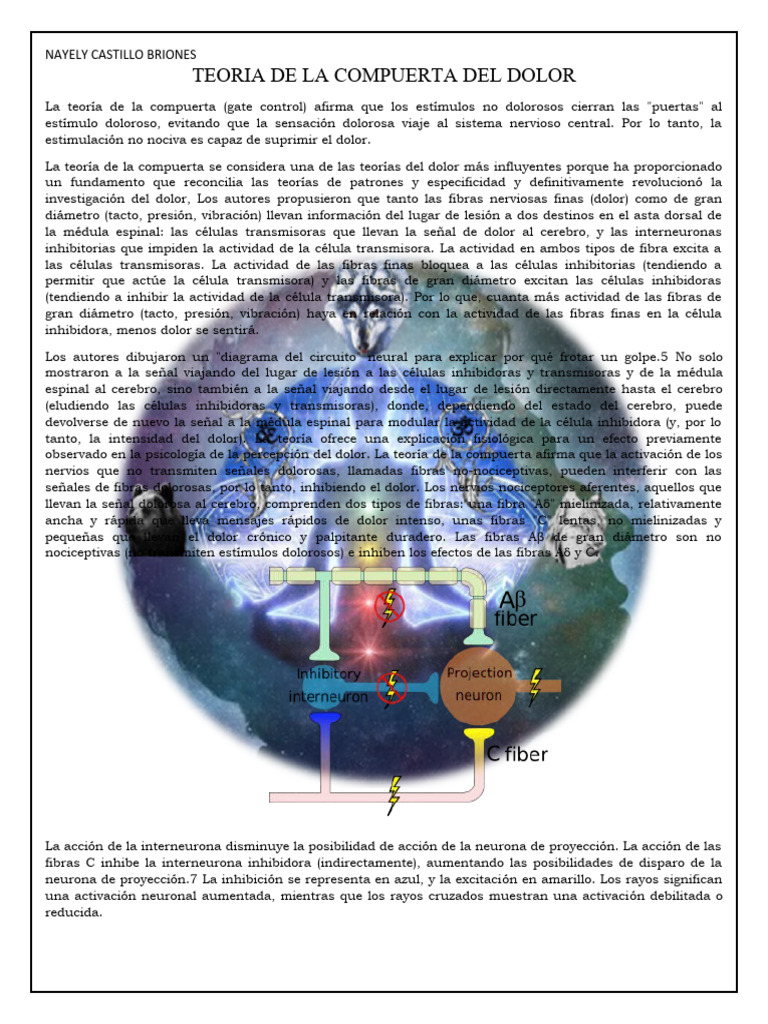 Teoria de La Compuerta Del Dolor PDF Medicina CLINICA Sistema nervioso