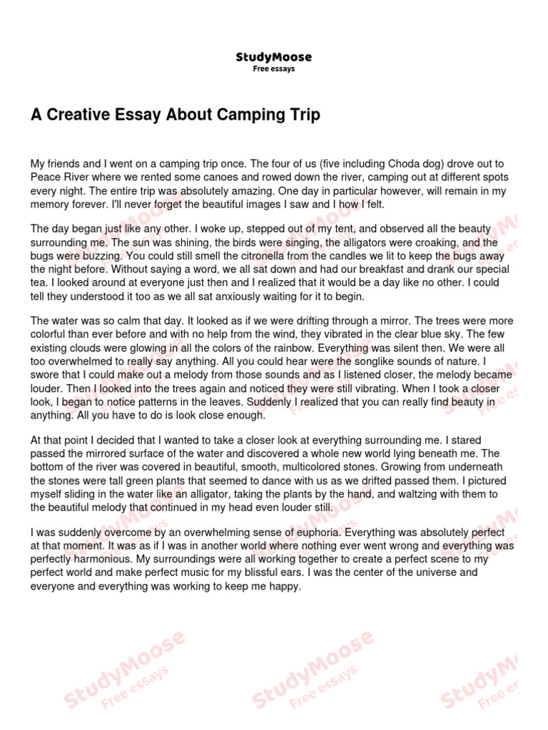 a-creative-essay-about-camping-trip-pdf