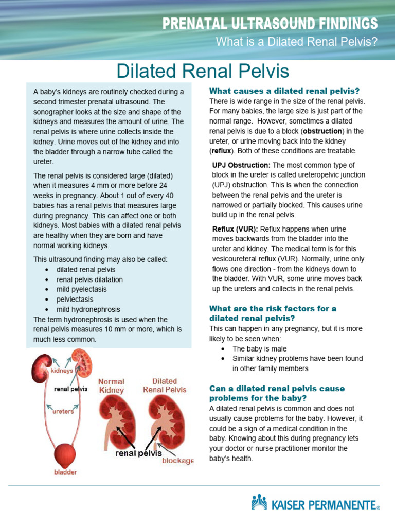gen-us-dilated-renal-pelvis-handout-tcm63-9940-pdf