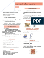 Anatomia e Fisiologia Do Sistema Respiratorio