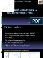 10 Uso MGSO4 Neuroproteccion Dr. Claudio Sosa Set 2012