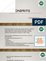 Pielonefritis