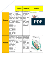 Cuadro Comparativo de Células