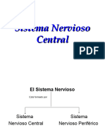 L-SNC Funcional