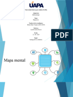 Mapas Mentales e Infoagrafìas 01