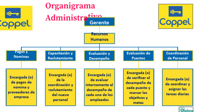 Organigrama General de Coppel Direccion General Plantilla