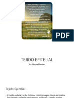 Tejido Epitelial