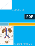 7 Farmacología Modulo VI