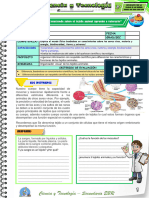 D2º Act 4 Cyt Unid 1 - Sem 4