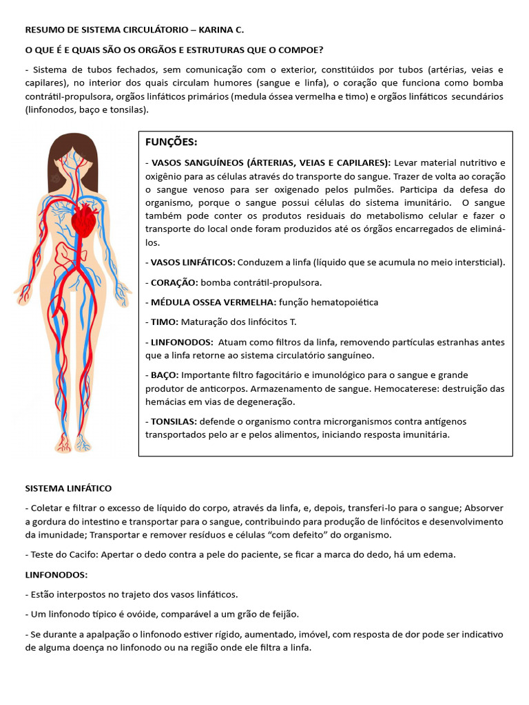 Sistema Circulatorio Pdf