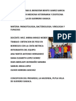 Reporte de Practica - Equipo 4. Parasitologia