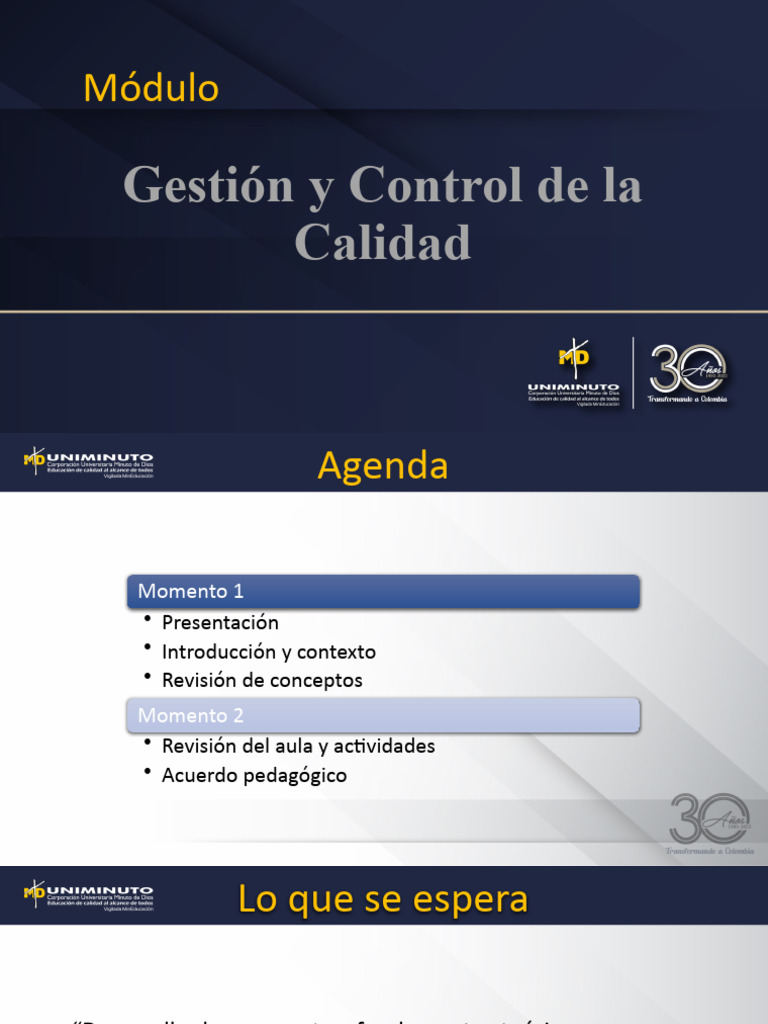Gestión de la Calidad en Proyectos | PDF | Calidad (comercial ...