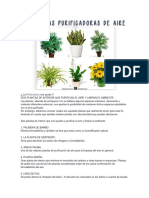 Plantas Purificadoras