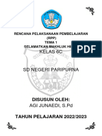 6C RPP Tema 1 2022-2023