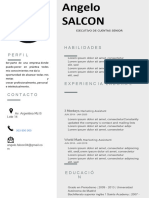 Nueva Plantilla Curriculum Vitae Gris Foto Lado