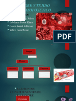 Sangre y Tejido Hematopoyetico