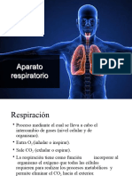 Aparato Respiratorio