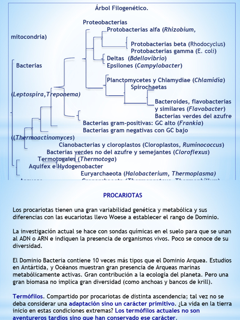 Procariotas. Formas y Metabolismo. PDF
