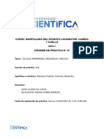 Informe 01-Histología