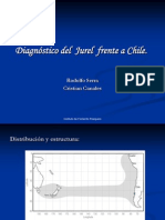 Condición Del Jurel Frente A Chile - Serra y Canales - IFOP