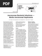 Download Aeromonas Bacterial Infections by api-3737467 SN6734208 doc pdf