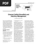 Channel Catfish Broodfish and Hatchery Management