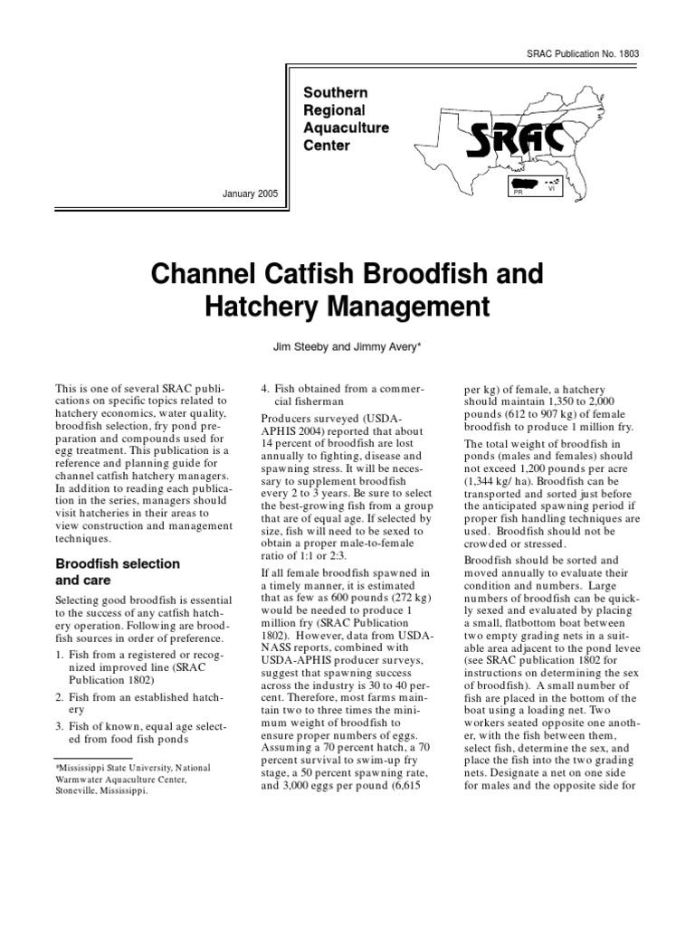Catfish Broodfish Management Guide | PDF | Spawn (Biology) | Fish