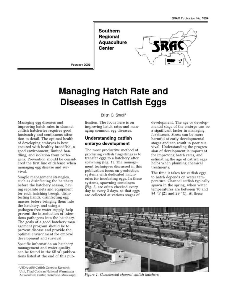 Managing Hatch Rate and Diseases in Catfish Eggs PDF Formaldehyde