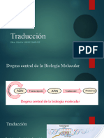 1.32 Traducción